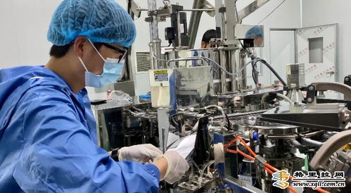 维西县特色农业扶贫开发公司魔芋加工厂生产线正式投产 智能农业管理引领新篇章