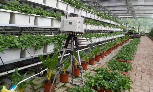 智能农业中的五大关键传感器 精准农业的基石