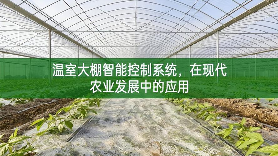 在现代农业发展中的应用温室大棚智能控制系统可以实现自动化管理
